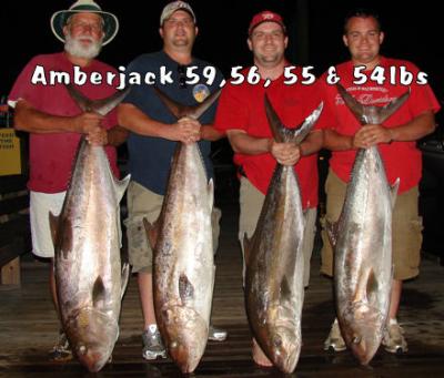 giant amberjack